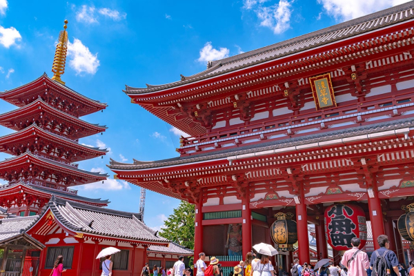 02.05.2026 - 10.05.2026<br> Майский тур Глицинии 